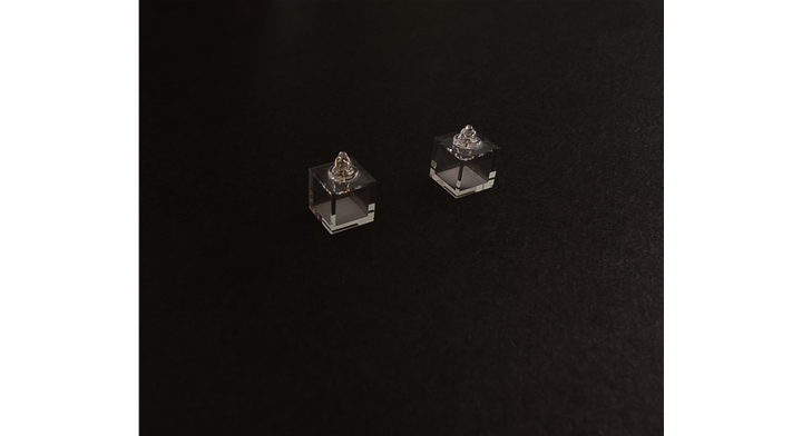 10×10×10mm原子气室